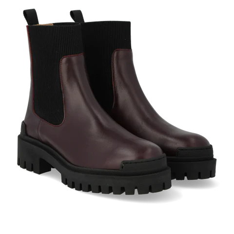 Angulus Brown Black Chelsea boot with elastic